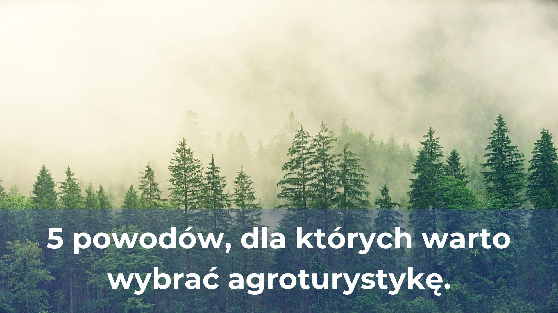 Dlaczego puszcza romincka jest ważna dla polskiego dziedzictwa naturalnego