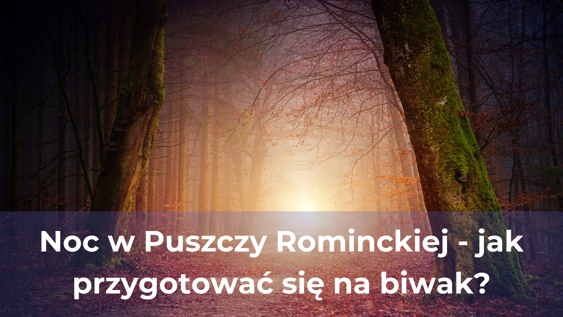 Odkryj polską wieś dlaczego agroturystyka jest tego warta